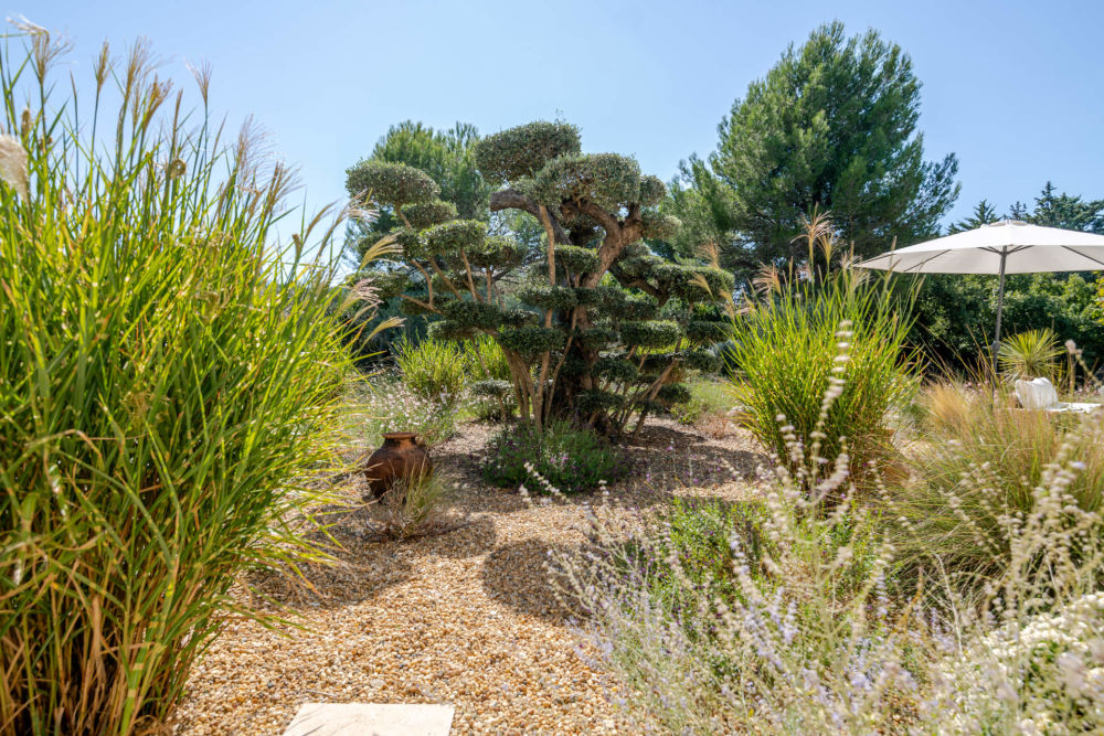 Photographs of Villa Crépuscule villa in Provence - Image 42 of 43