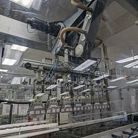 Complete Filling & Packaging Line- - Image 69