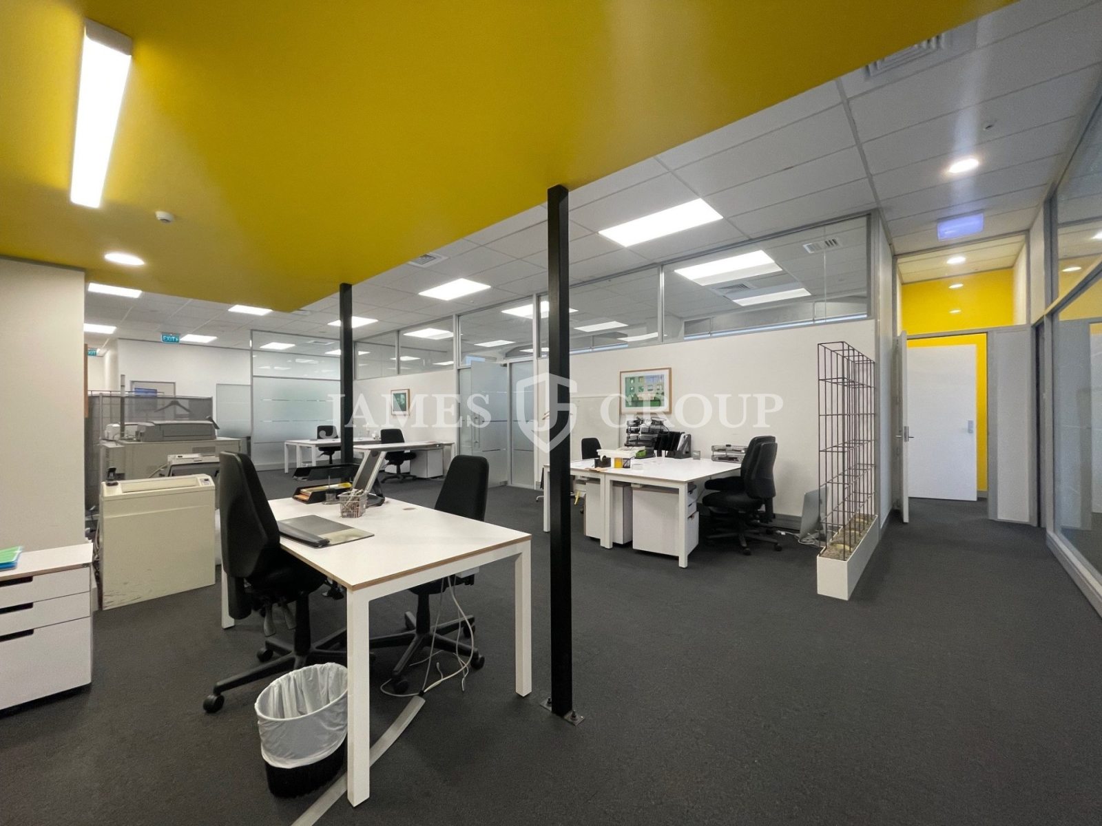 Modern Parnell Office – Ample Car Parking
