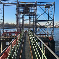 SFLN-007894-Position-1