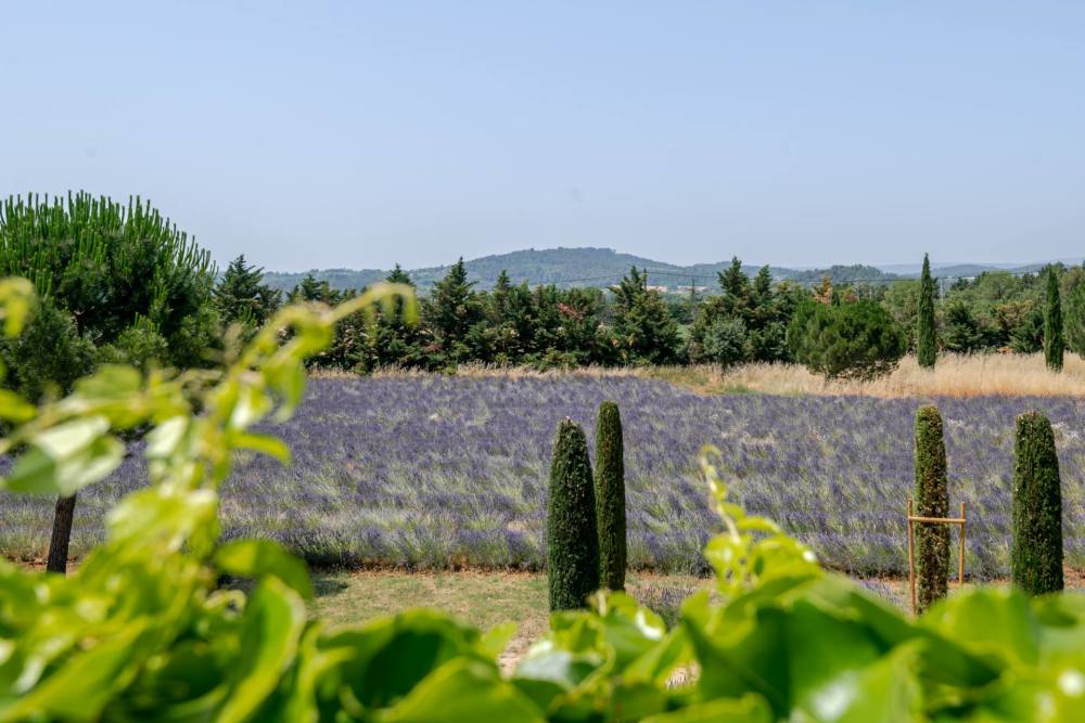 Photographs of Petit Mas des Splendeurs villa in Provence - Image 43 of 46