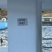 Ferry-KWANDONG - Image 6