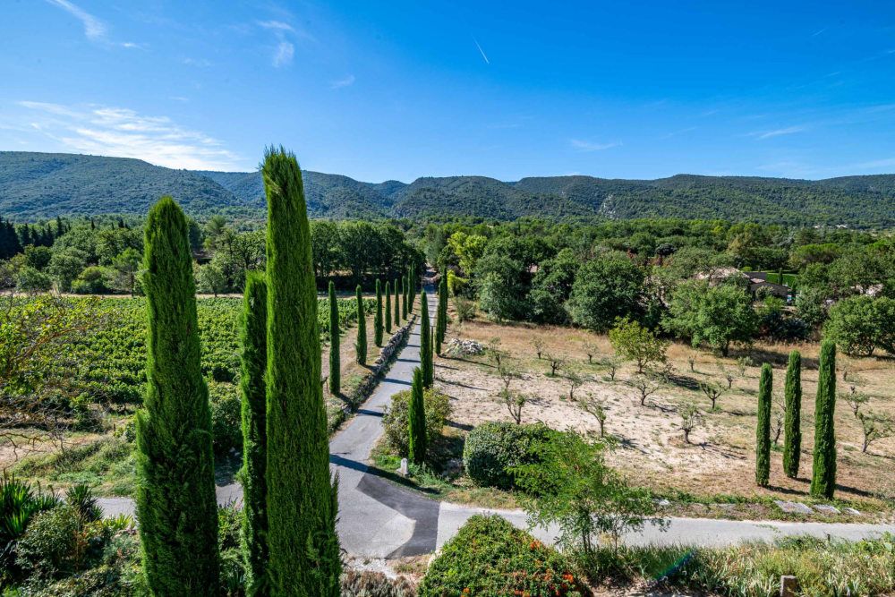 Photographs of Mas de la Salamandre villa in Provence - Image 36 of 57