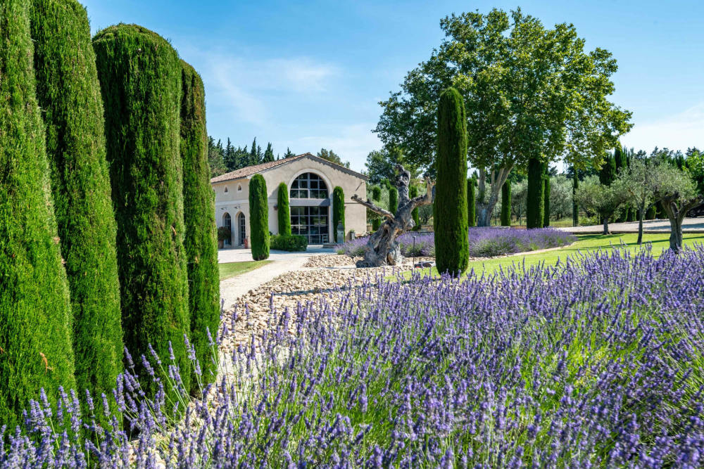 Photographs of Domaine de Villeblanche villa in Provence - Image 56 of 58