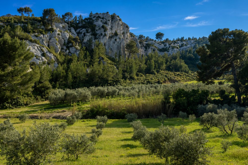 Photographs of Mas des Crêtes villa in Provence - Image 20 of 41