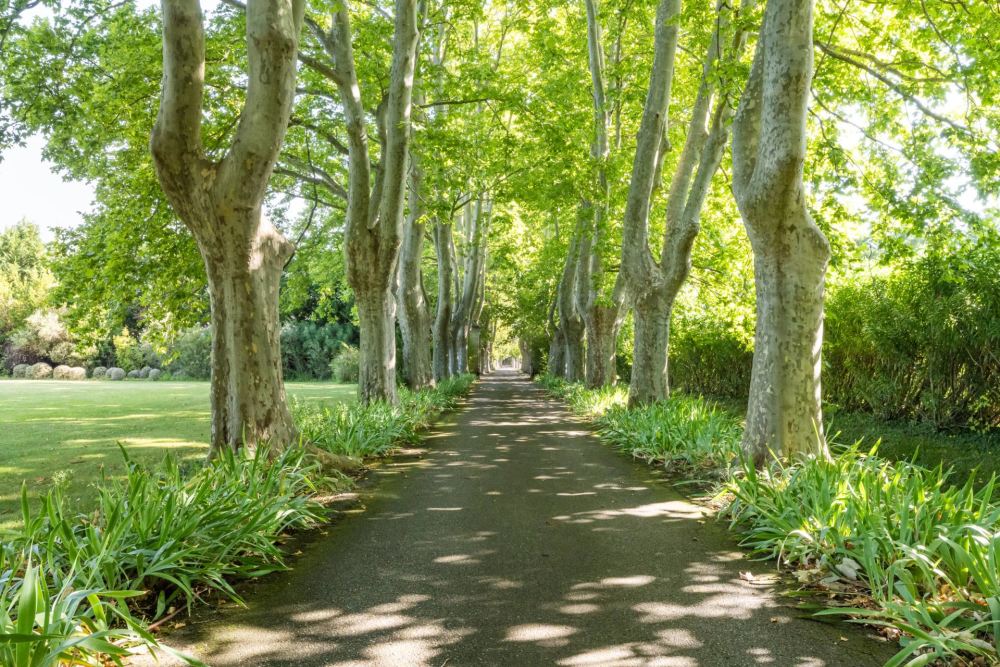 Photographs of Domaine de Fontclair villa in Provence - Image 60 of 60