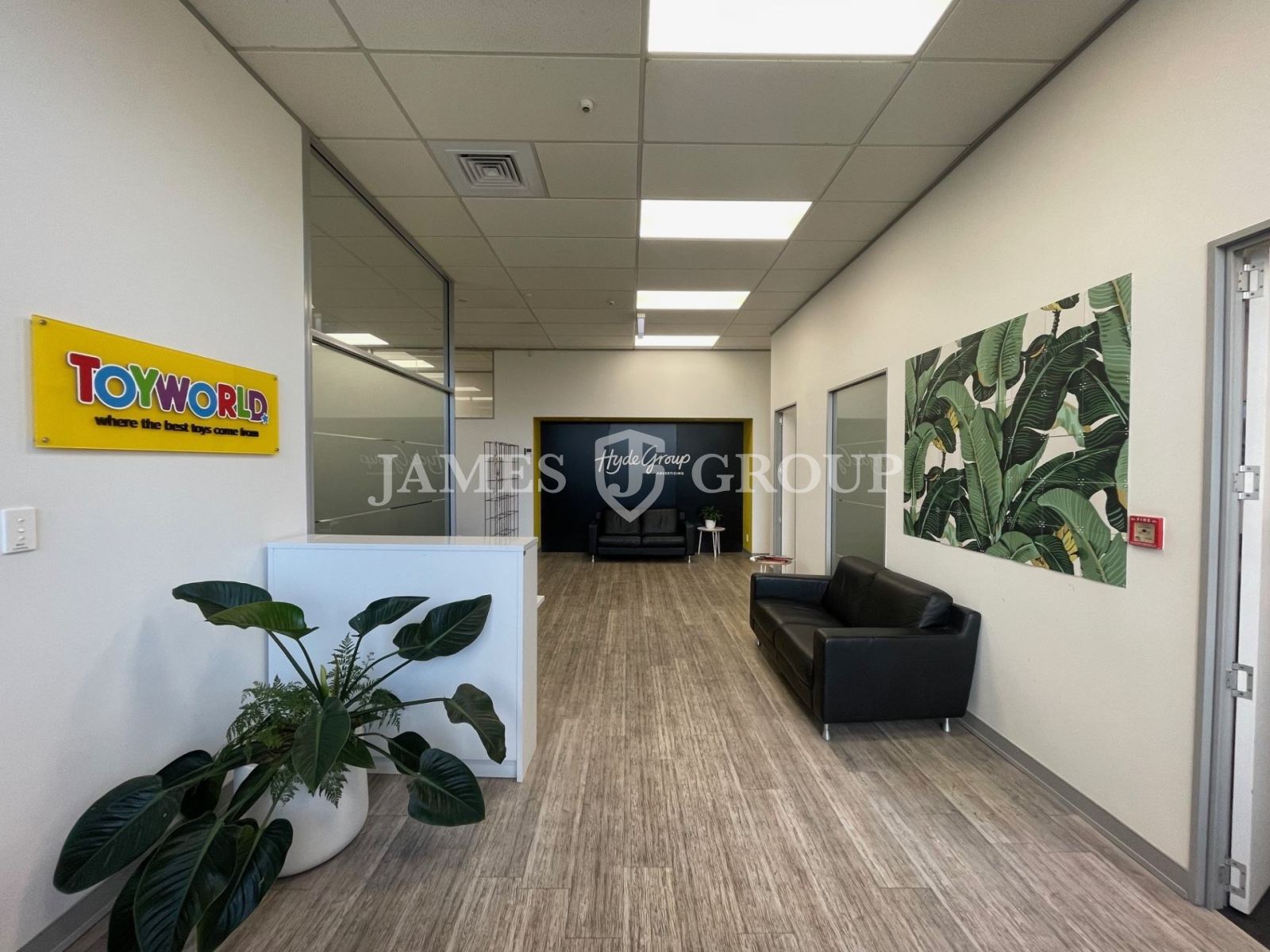 Modern Parnell Office – Ample Car Parking