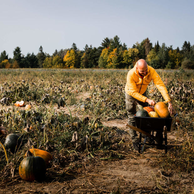 Myriam Baril-Tessier