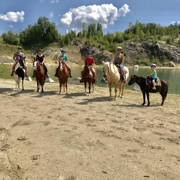 Equitation outaouais Clearance