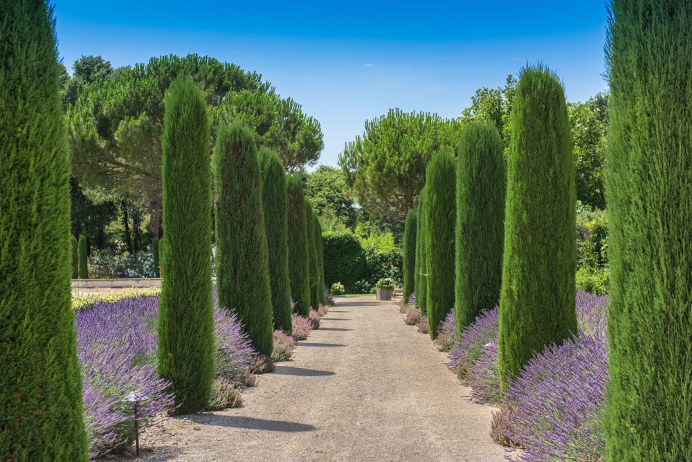 Photographs of Domaine de Villeblanche villa in Provence - Image 4 of 58