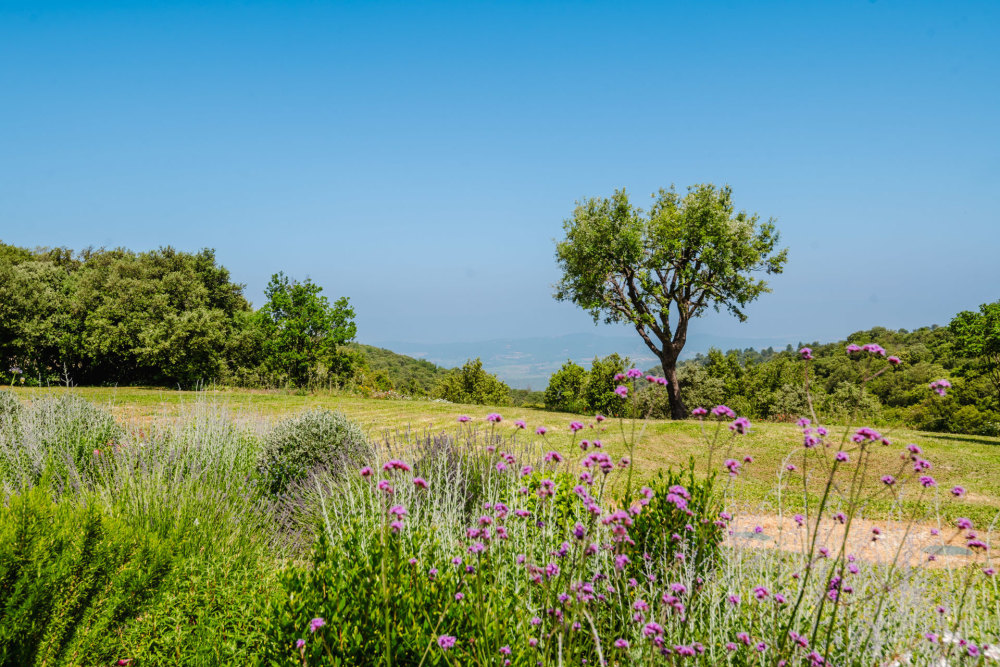 Photographs of Mas Ambre villa in Provence - Image 27 of 51