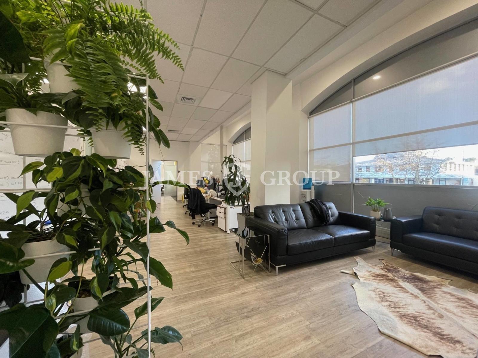 Modern Parnell Office – Ample Car Parking