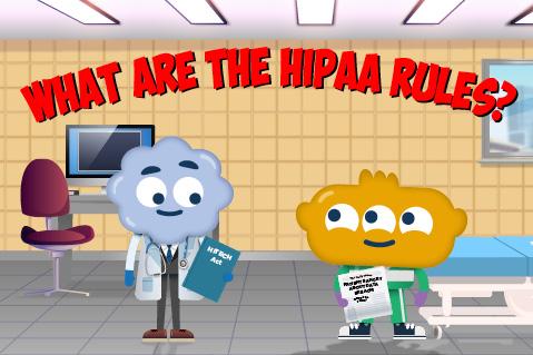 What are the HIPAA rules?
