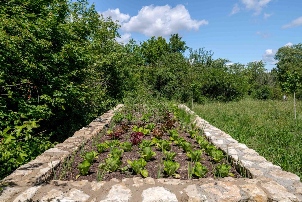 Photographs of New! Mas des Toiles villa in Provence - Image 35 of 35