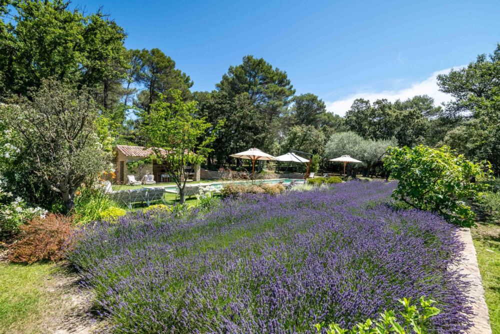 Photographs of Mas des Constellations villa in Provence - Image 45 of 49
