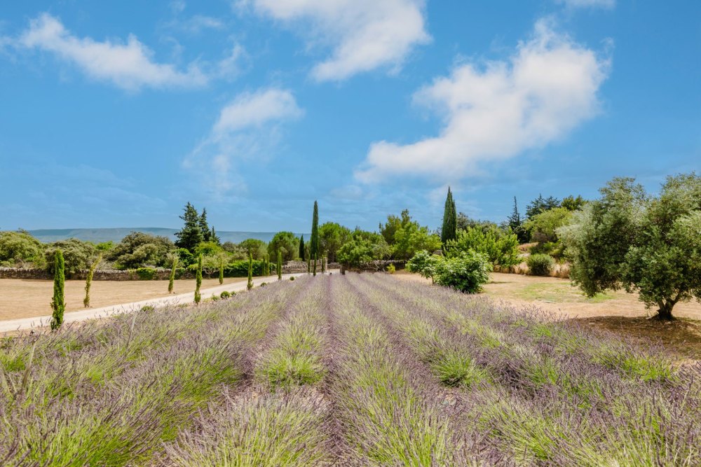 Photographs of Le Hameau de Sénanque villa in Provence - Image 60 of 60