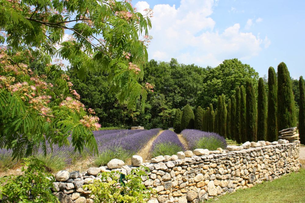 Photographs of Mas des Roses villa in Provence - Image 14 of 44