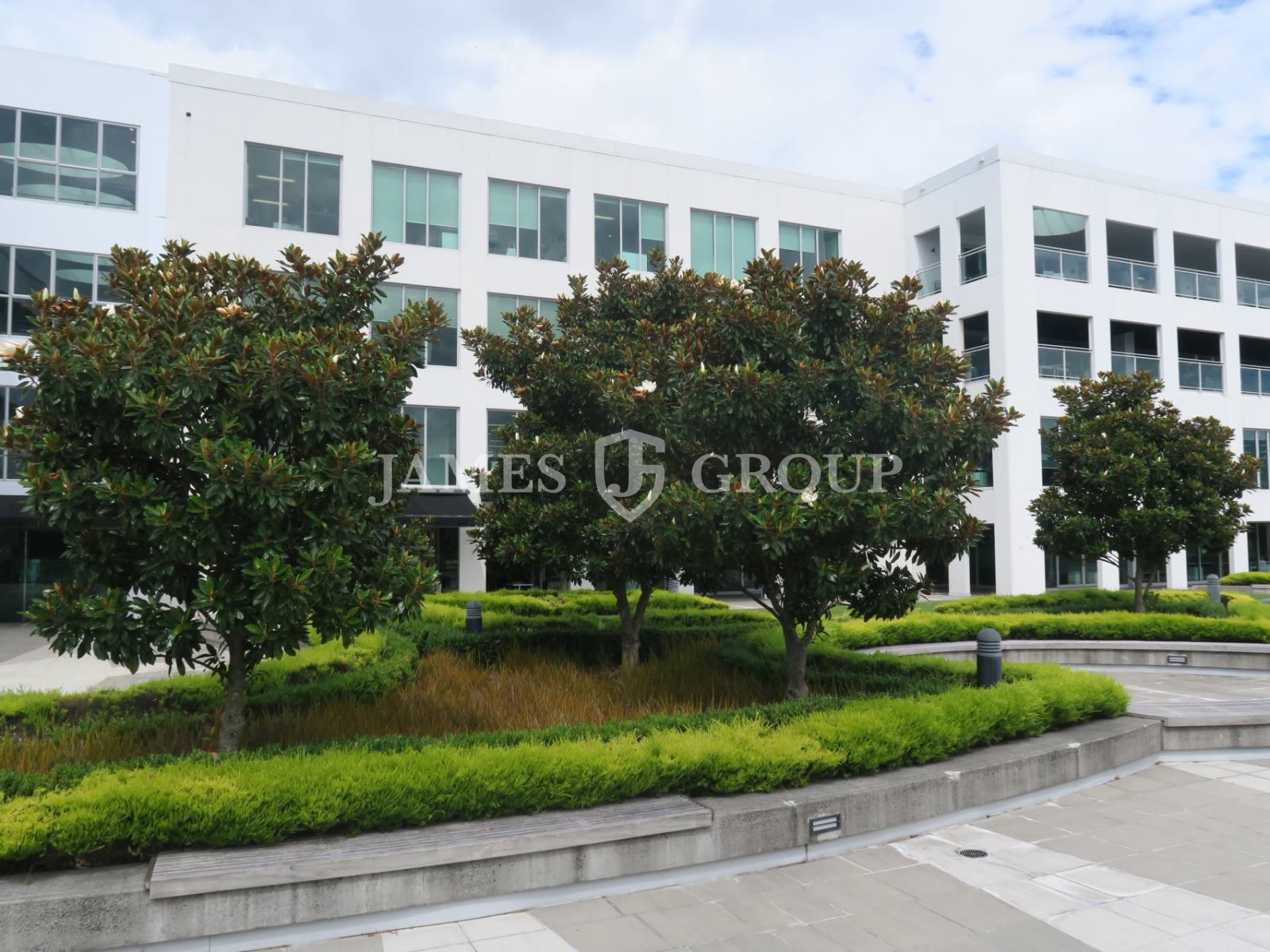 Light-filled Gf Office With Three Meeting Rooms