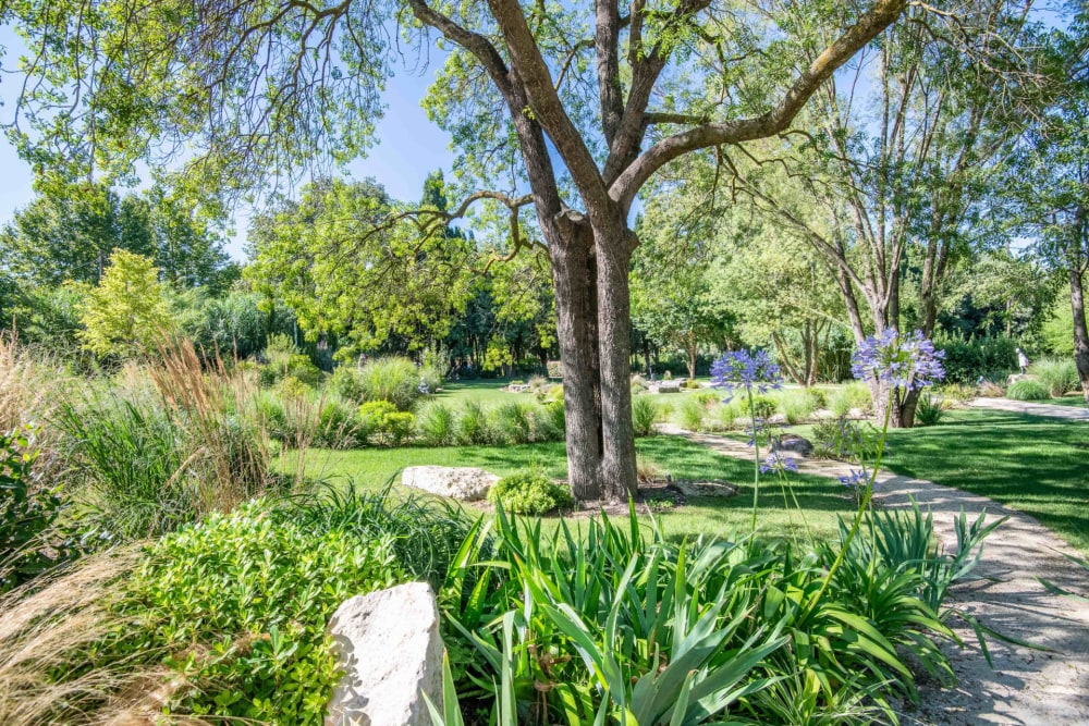 Photographs of Mas des Pierres villa in Provence - Image 27 of 60