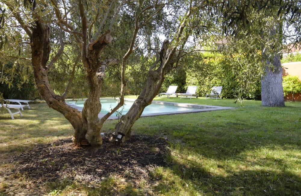 Photographs of Villa Mistral villa in Provence - Image 11 of 33