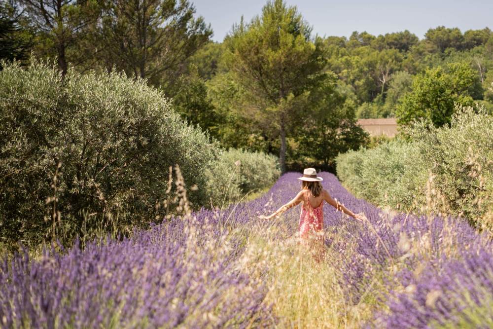 Photographs of New! Mas du Trésor villa in Provence - Image 24 of 35