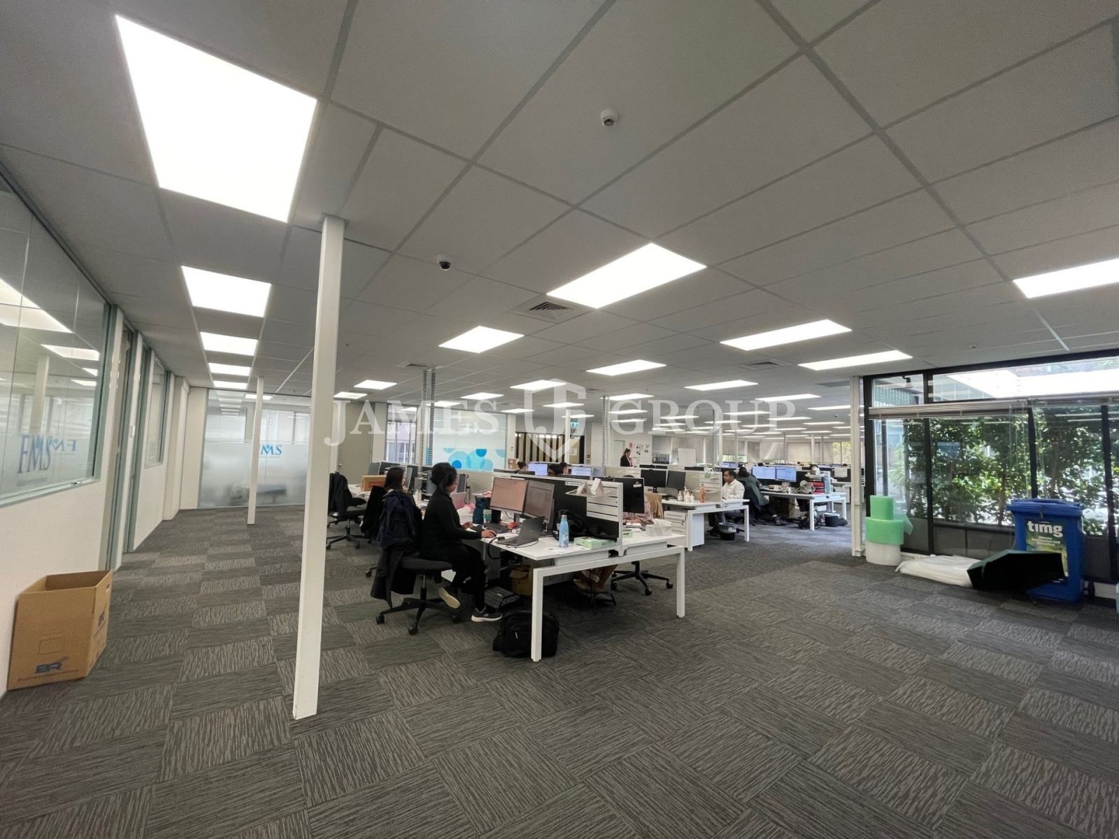 Cost Effective Mount Eden Office