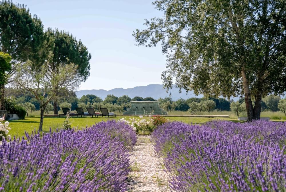 Photographs of Mas des Sources villa in Provence - Image 18 of 41