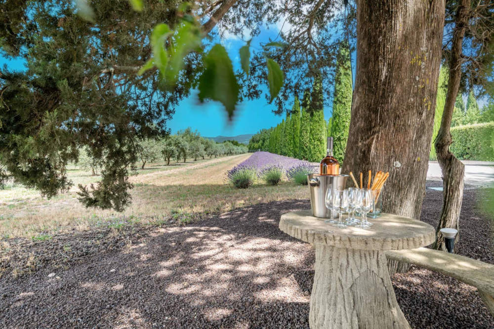Photographs of Bastide de la Senancole villa in Provence - Image 23 of 52