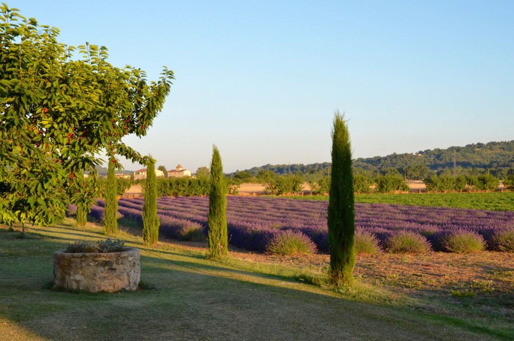 Photographs of Le Mas des Lavandins villa in Provence - Image 51 of 53