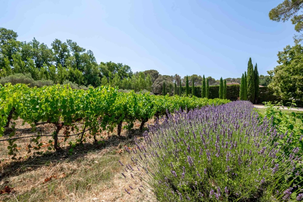 Photographs of Le Mas de Gancel villa in Provence - Image 32 of 41
