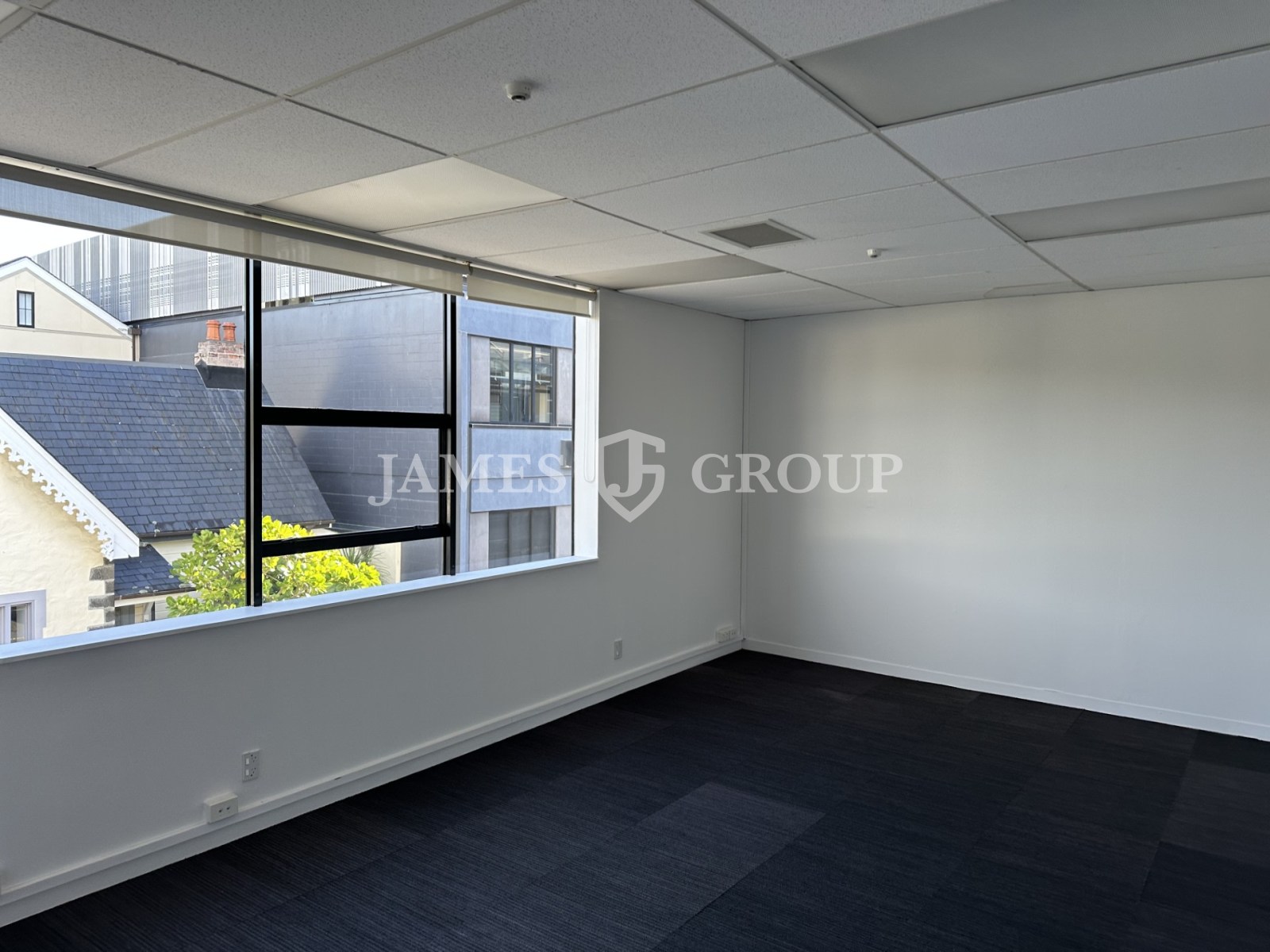 Parnell Ground Floor Medical Suite – Available Now