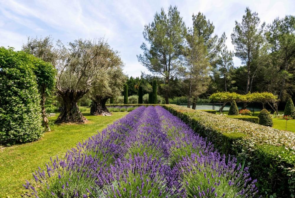 Photographs of Domaine de Fontclair villa in Provence - Image 21 of 60
