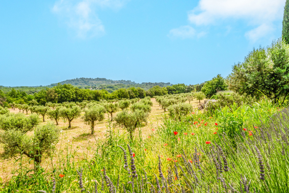 Photographs of Mas des Secrets villa in Provence - Image 46 of 47