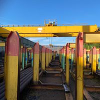 SFLN-008036-Position-1