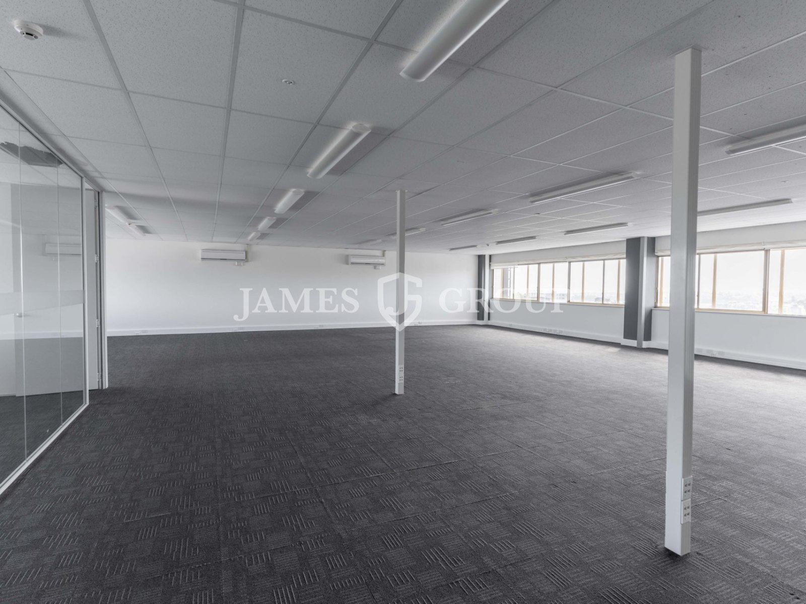 Central Newmarket Opportunity