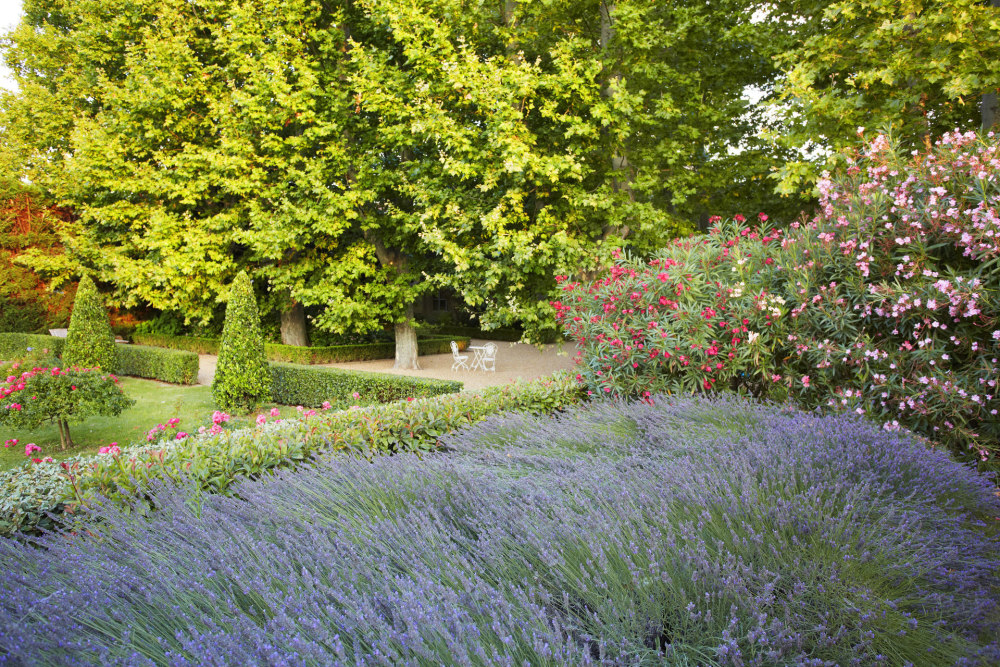 Photographs of Domaine de Fontclair villa in Provence - Image 57 of 60