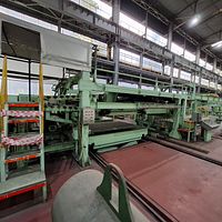 Shearing Line with Side Trimmer and 2 x 6-High Finish Levellers-'HONDA' - Image 19
