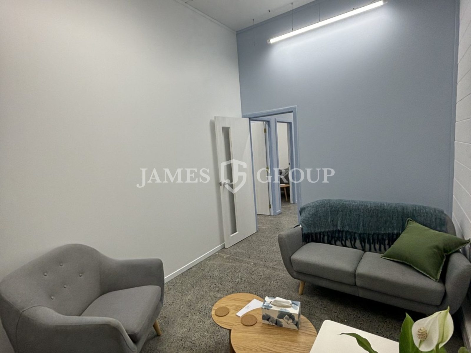 Ground Floor Parnell Office
