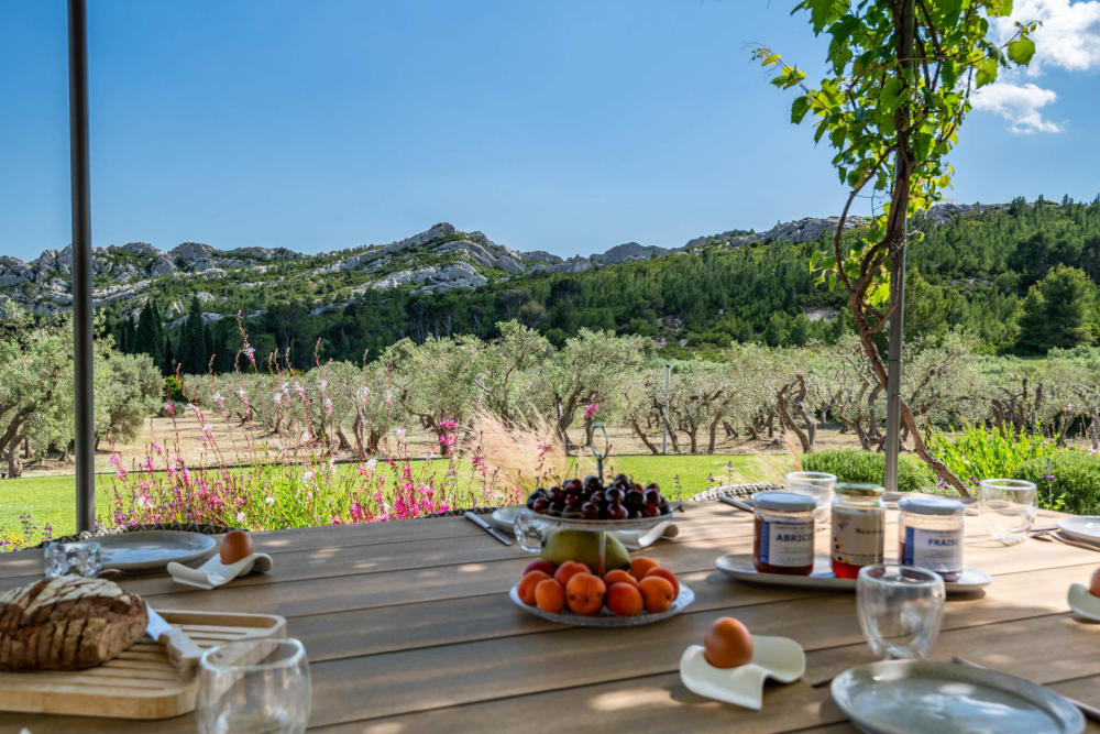 Photographs of Mas Allure villa in Provence - Image 22 of 60