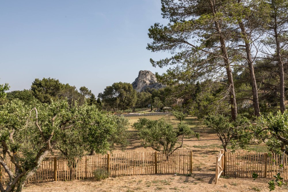 Photographs of Mas des Peintres villa in Provence - Image 19 of 46