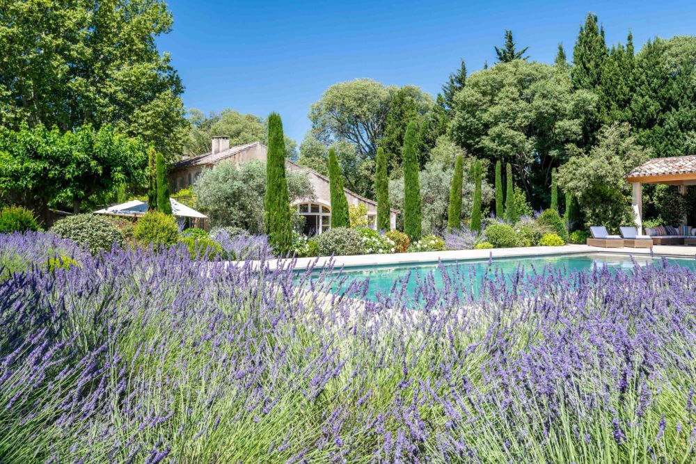 Photographs of Mas du Cardinal villa in Provence - Image 35 of 49
