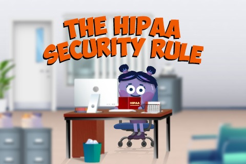 The HIPAA Security Rule