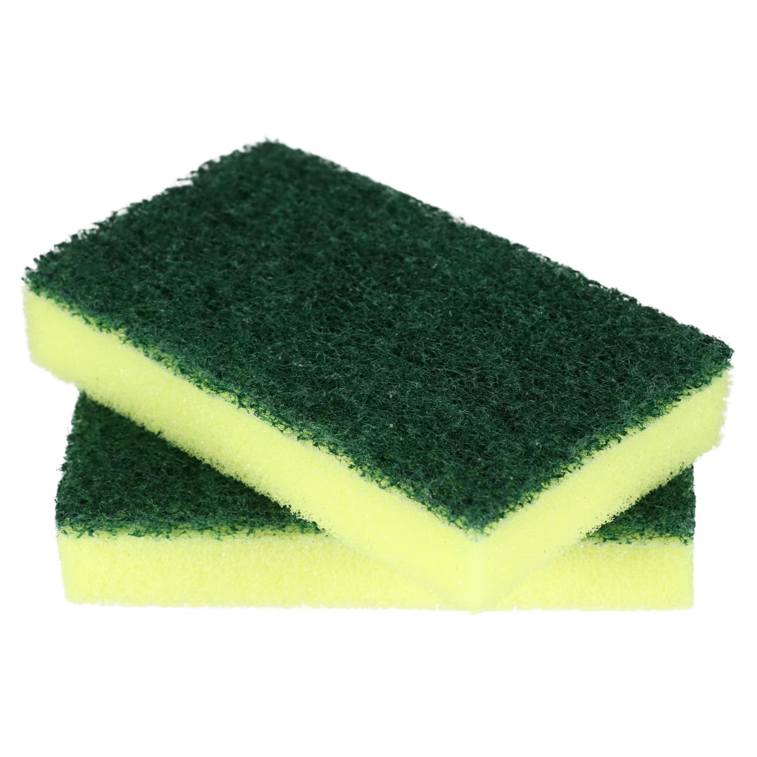 Sponge