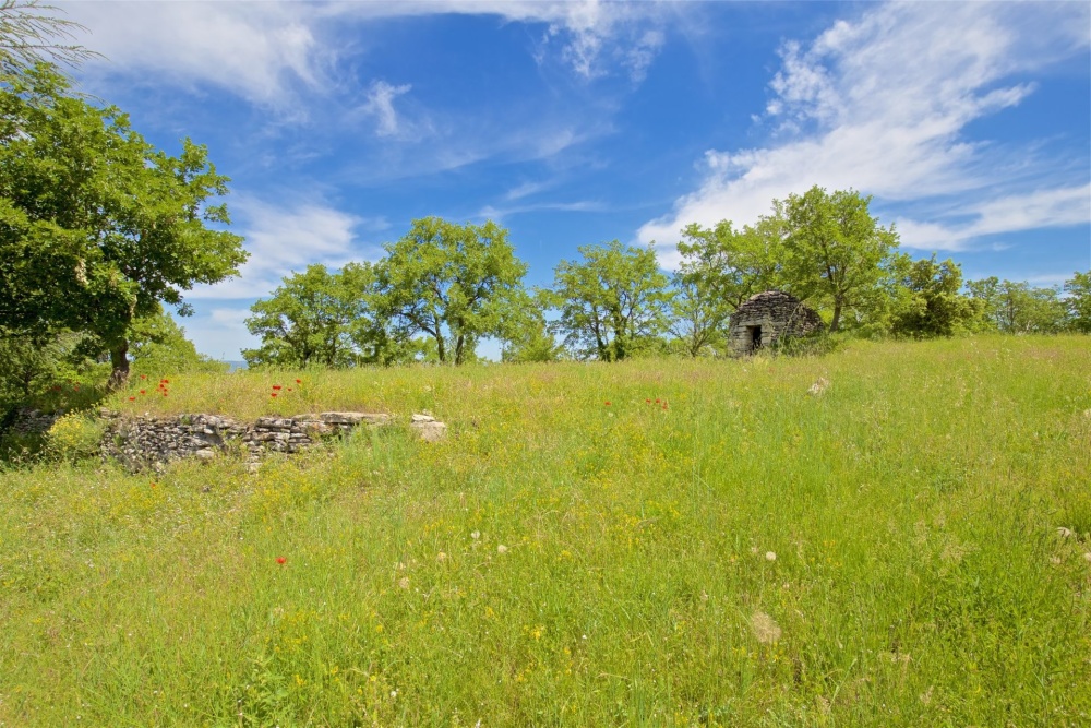 Photographs of Mas des Cerisiers villa in Provence - Image 33 of 34