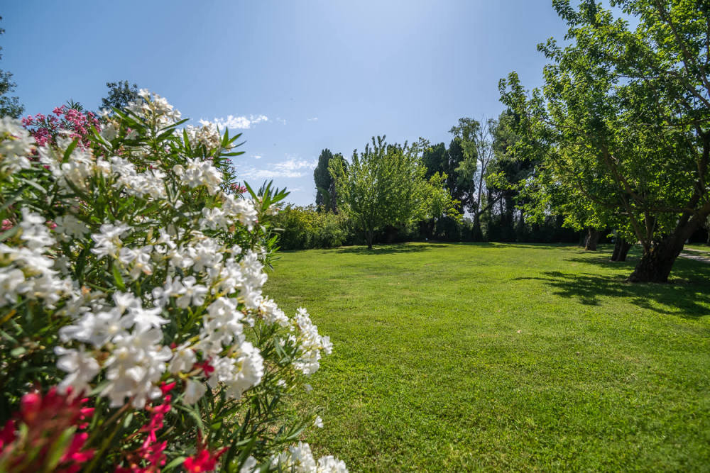Photographs of Mas de la Sorgue villa in Provence - Image 43 of 45