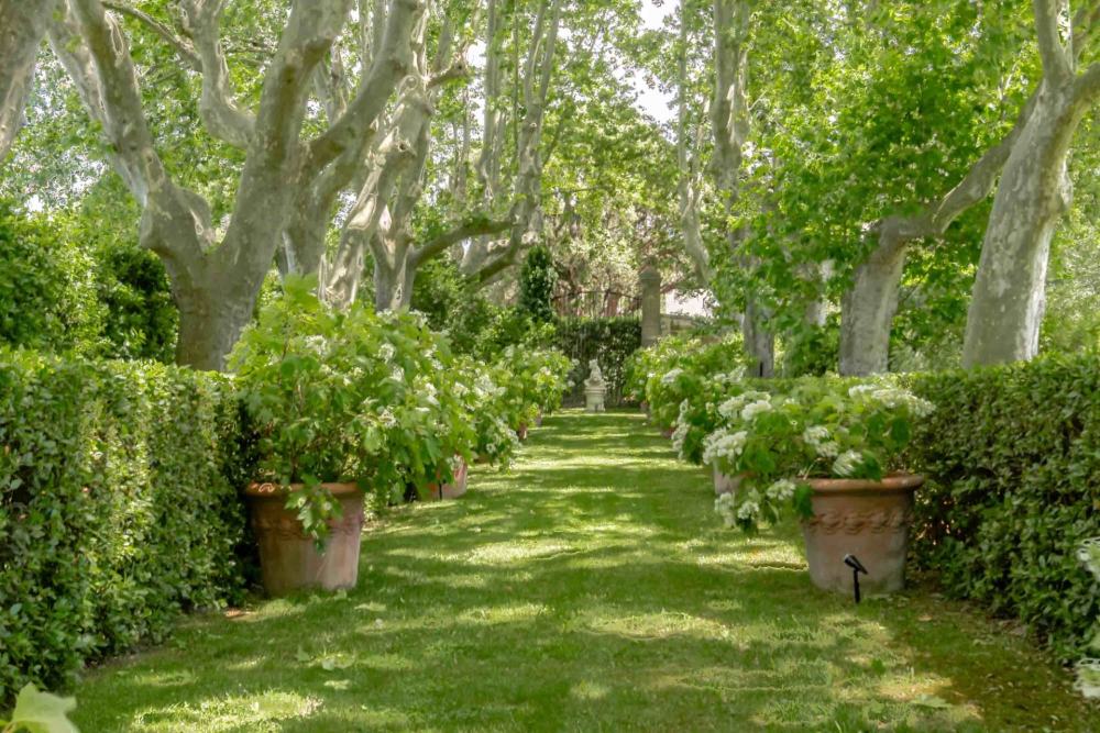Photographs of Domaine de Beau-Fleurs villa in Provence - Image 44 of 45