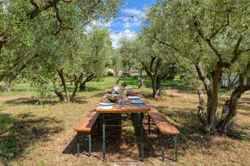 Photographs of Mas Cédrat villa in Provence - Image 53 of 56