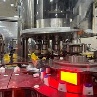 Head Monoblock Weigh Scale Filler-Pneumatic Scale - Image 6