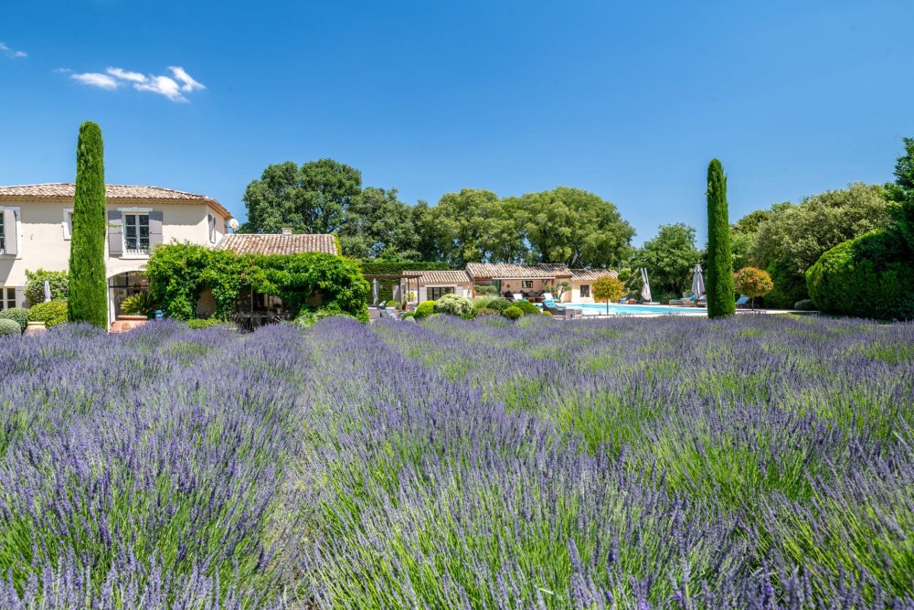 Photographs of Mas de la Caume villa in Provence - Image 3 of 52