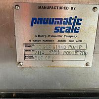 Pneumatic Scale Capper-Barry-Wehmiller - Image 4